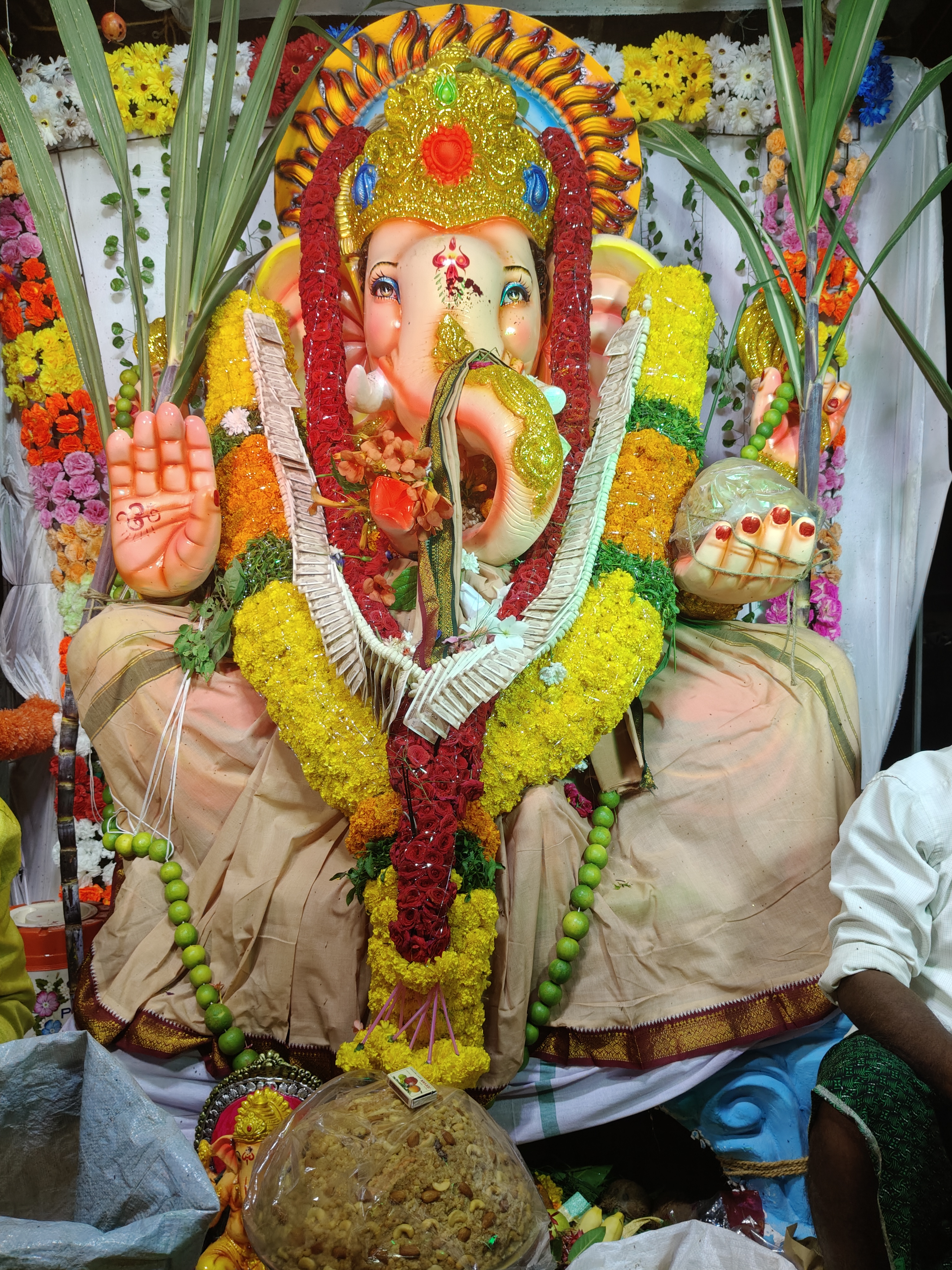 Jai Ganesh